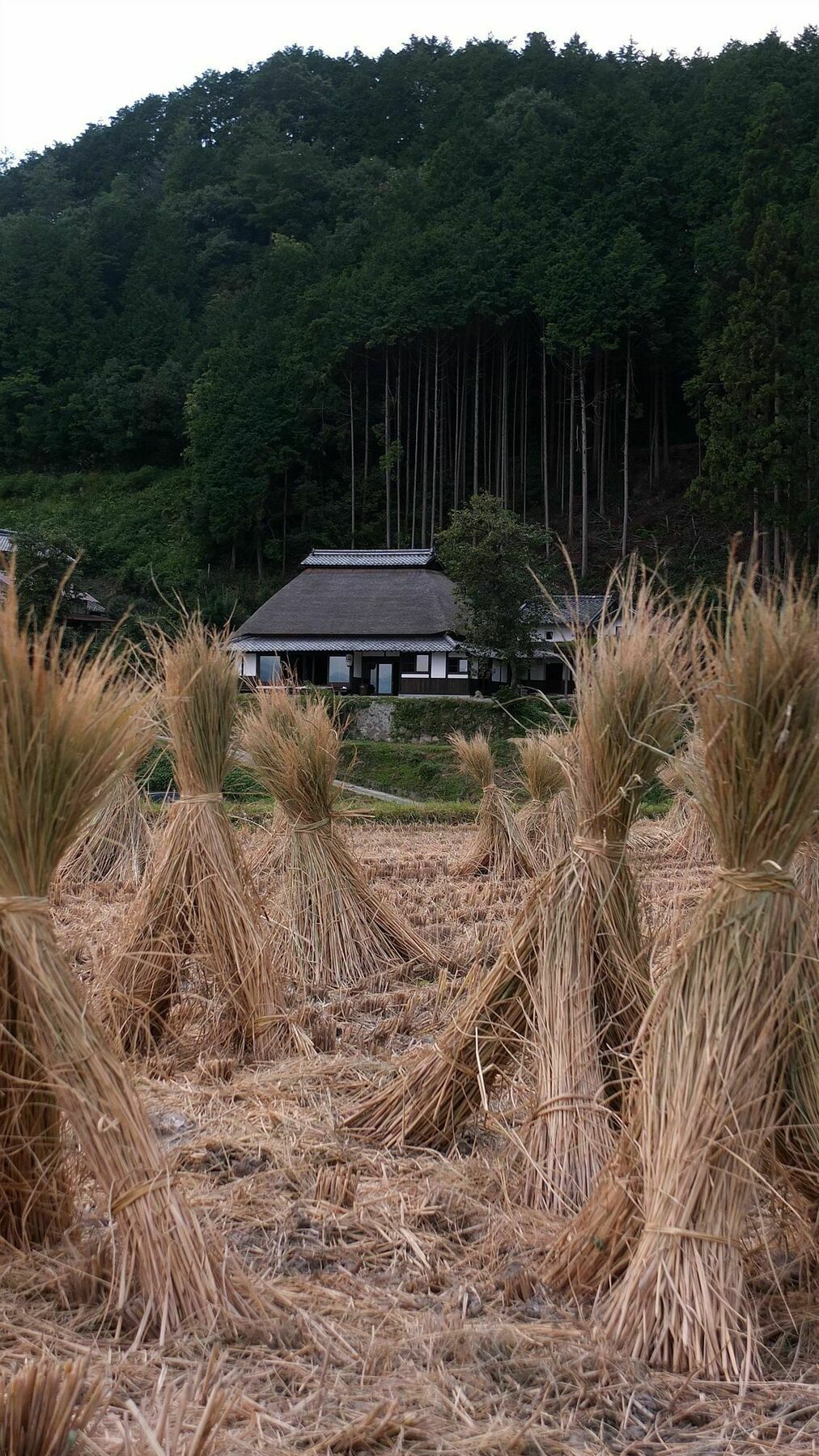 Sasayuri-Ann Villa Nara Exterior photo