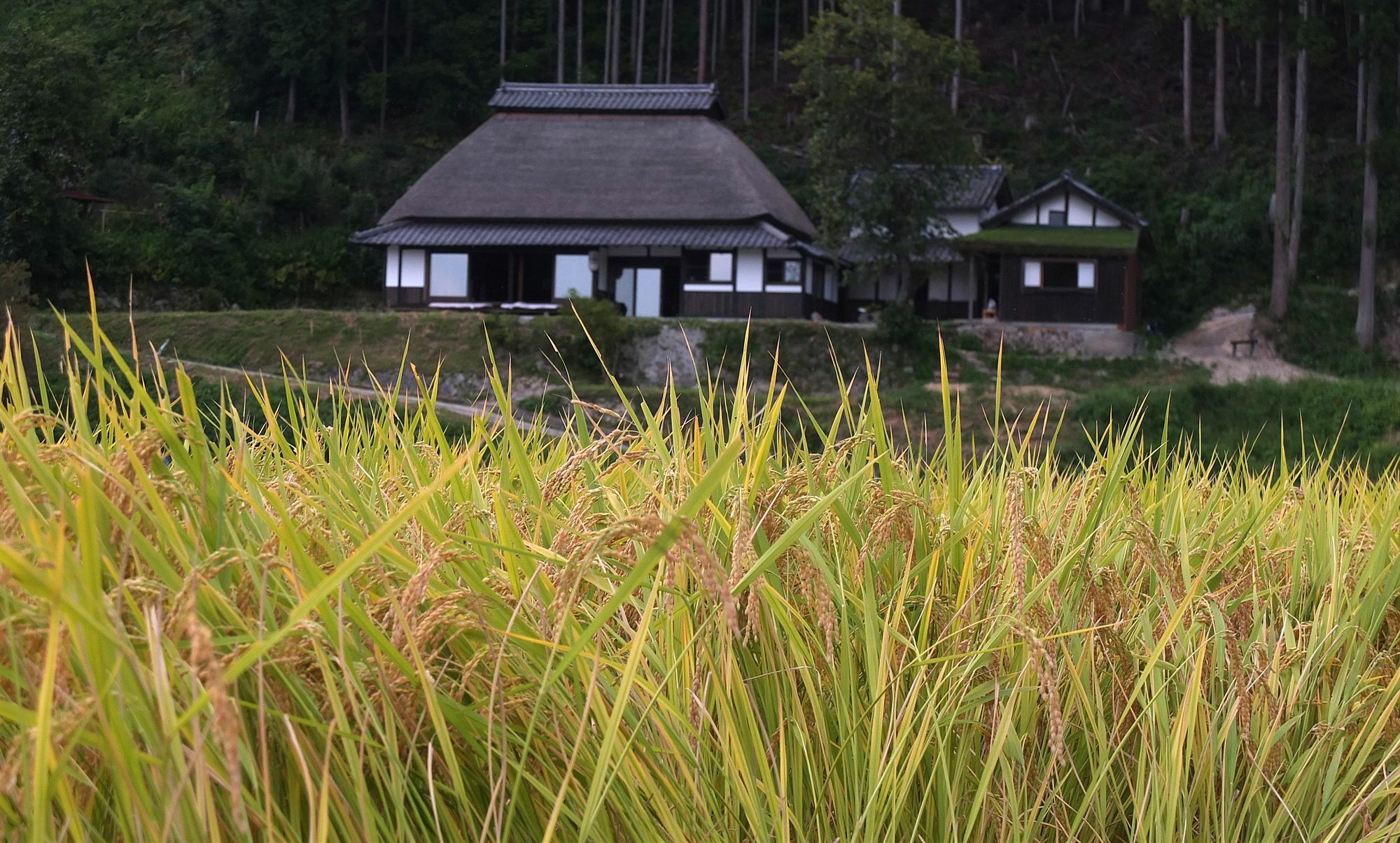 Sasayuri-Ann Villa Nara Exterior photo